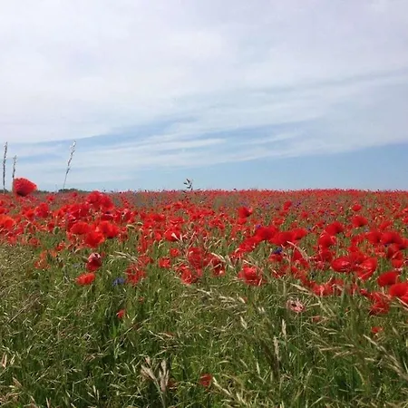 The With Sea View Lohme